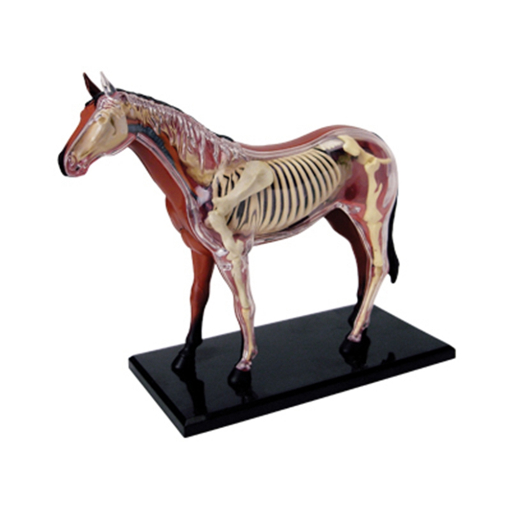 Jouet d'assemblage d'intellige - Science Toys Diy avis et prix