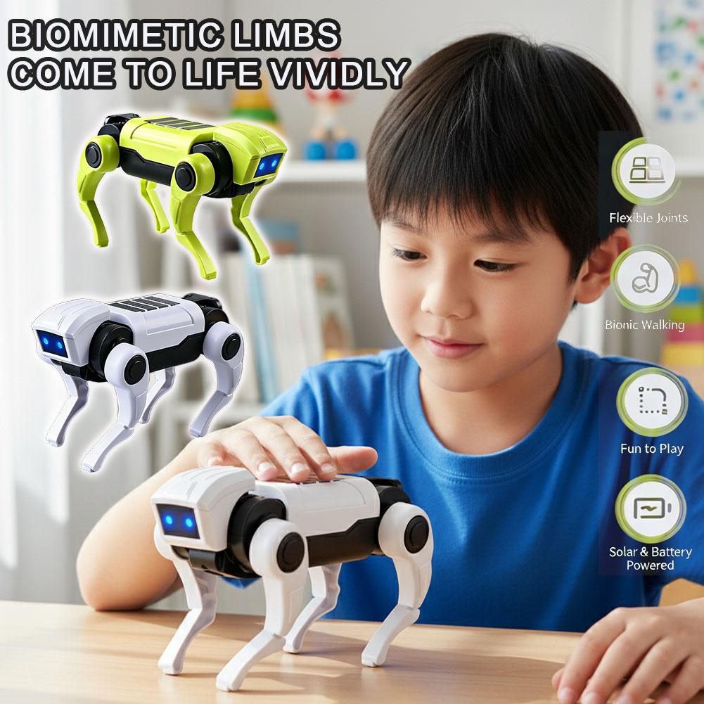 1/2 Pièces Robot RC Télécomman - Science Robotics avis et prix